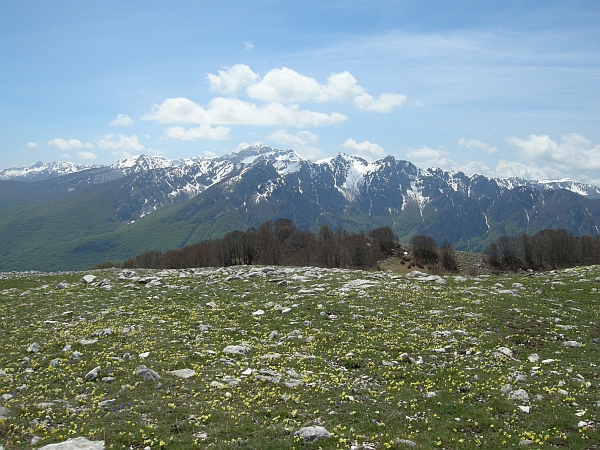 La Montagnola  (1939 m) - Villetta Barrea (Aq)