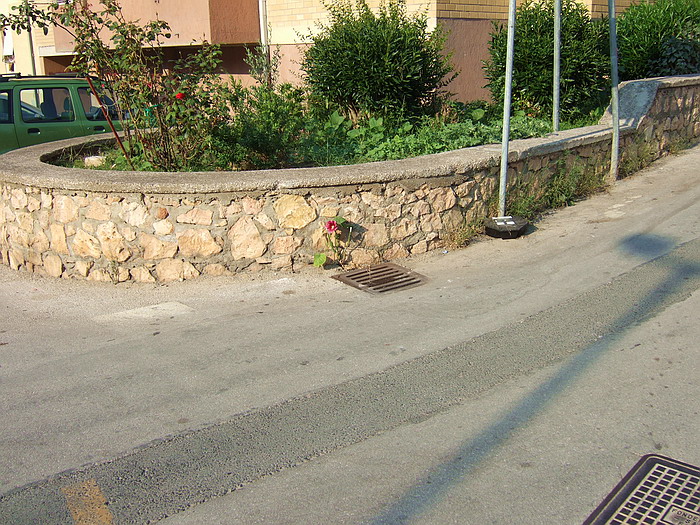 Il solitario
