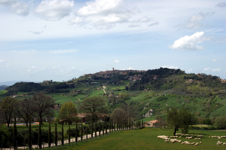 san galgano-montalcinello-radicondoli e monteriggioni