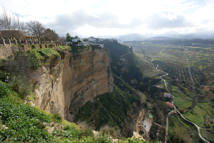 Grifone - Andalusia, Spagna