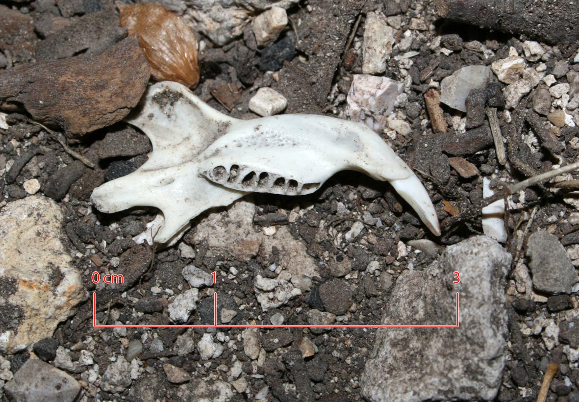 in una grotta