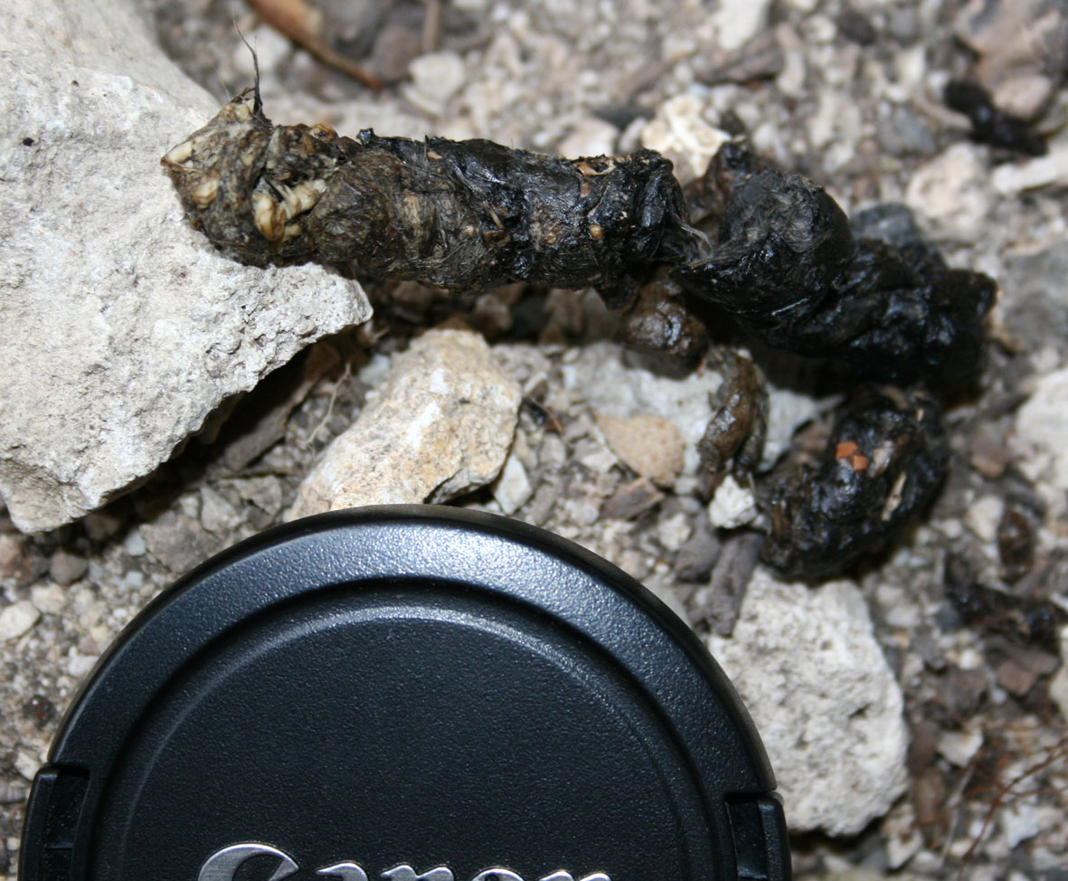 in una grotta