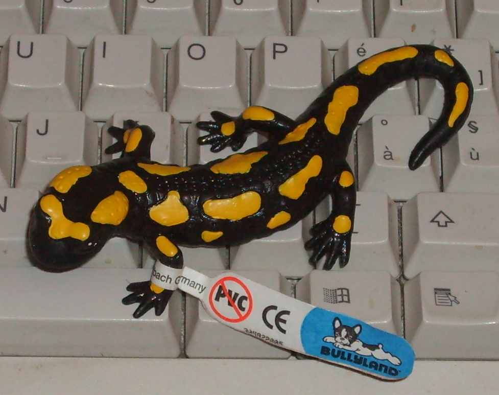 Salamandre in vendita...