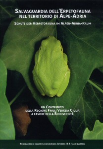 Bisogno di aiuto in Provincia di Ascoli