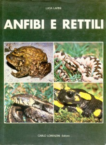 Bisogno di aiuto in Provincia di Ascoli