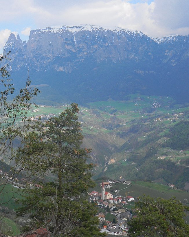 Stagno altoatesino... canti rana di Lessona e ululone