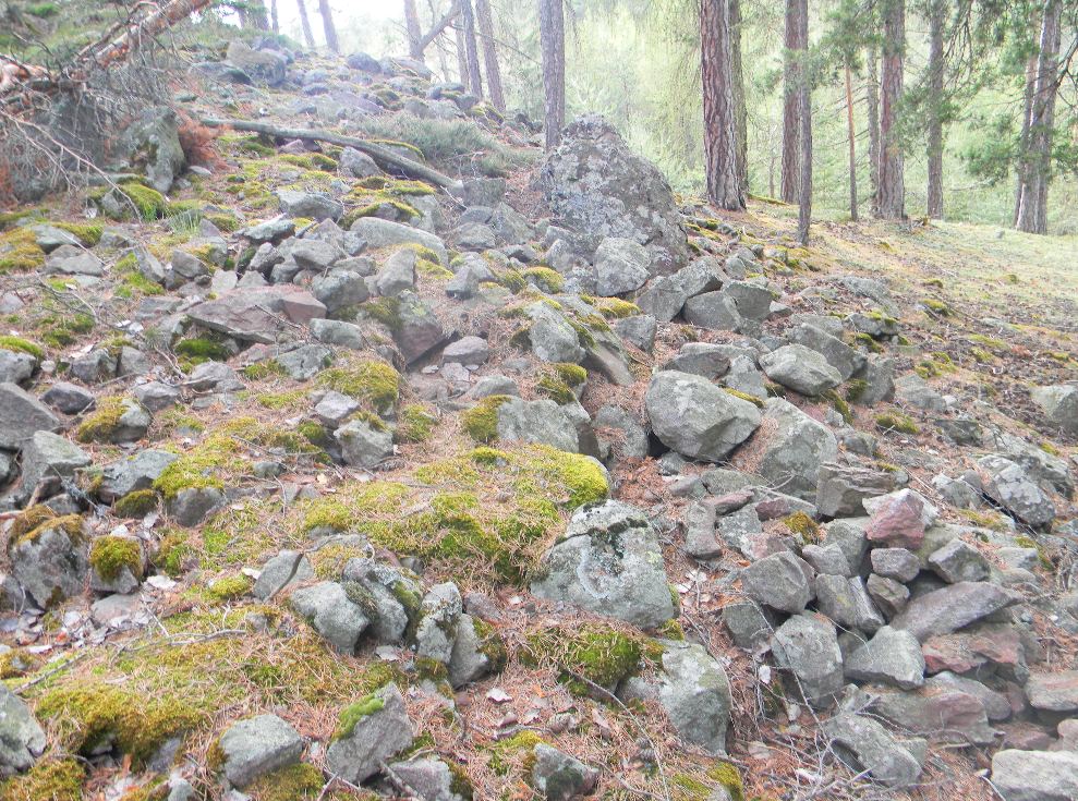 Stagno altoatesino... canti rana di Lessona e ululone
