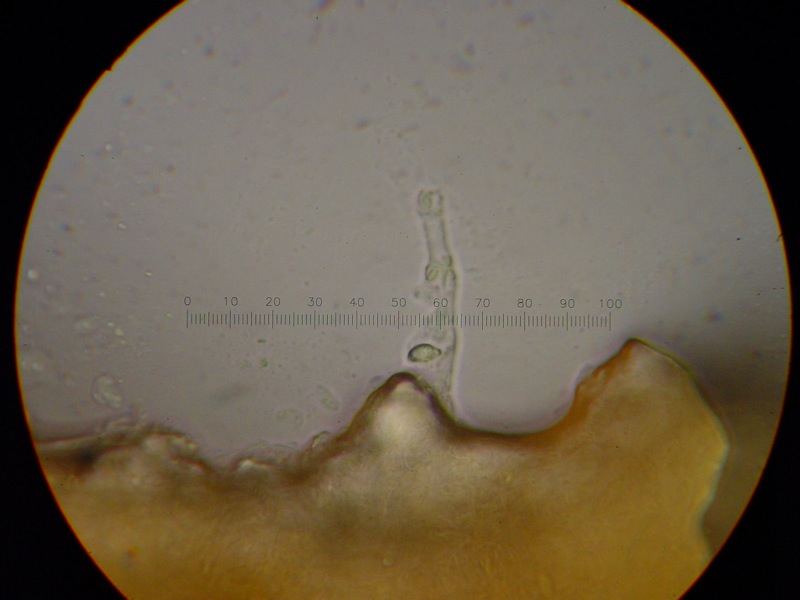 Da solo non ci riesco