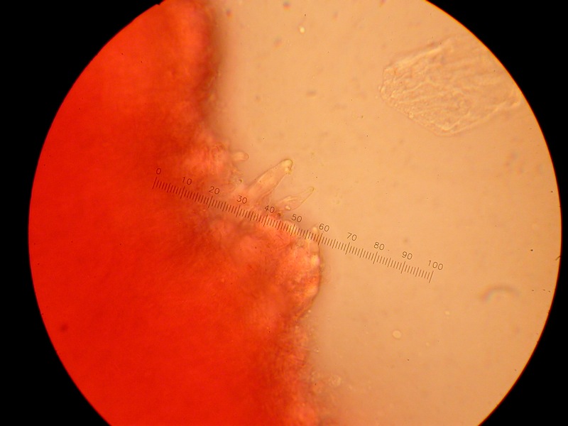 Da solo non ci riesco