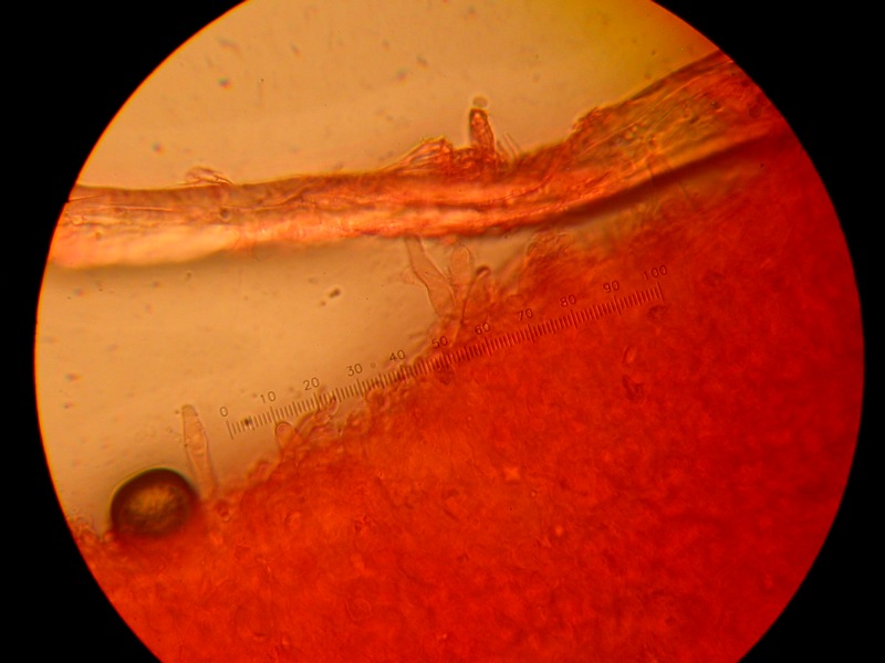 Da solo non ci riesco