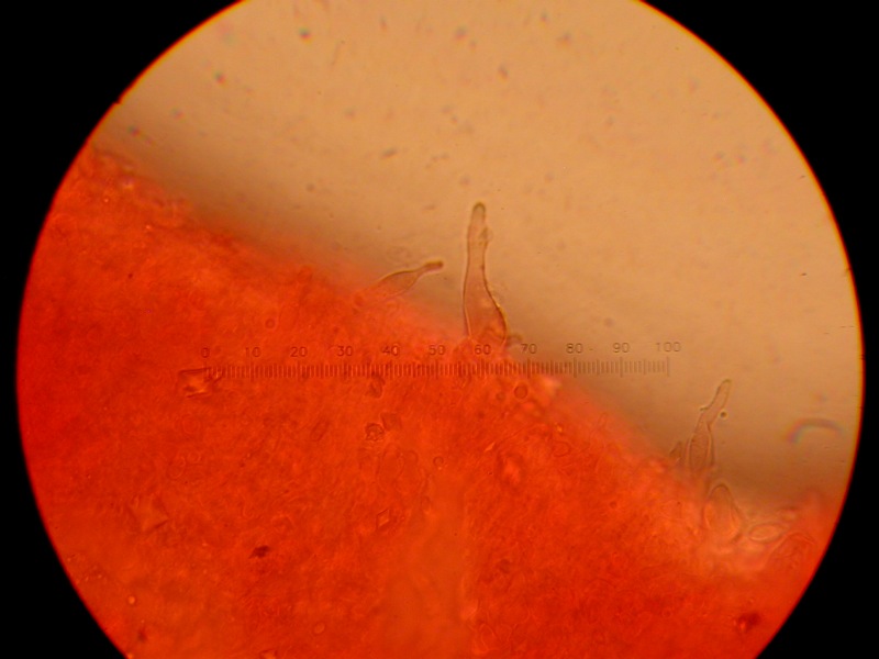 Da solo non ci riesco