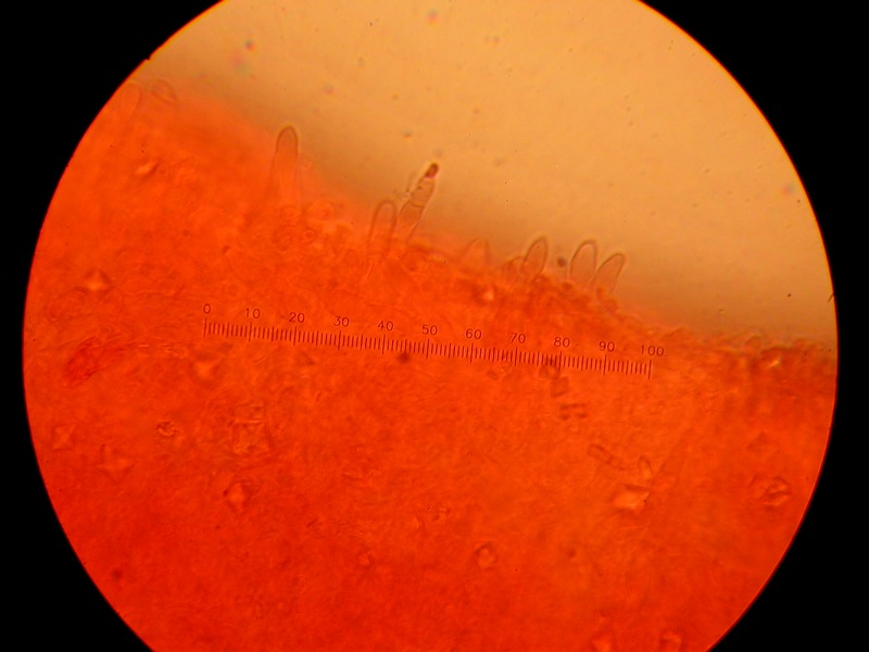 Da solo non ci riesco