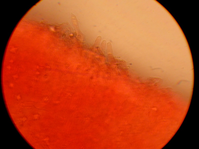 Da solo non ci riesco