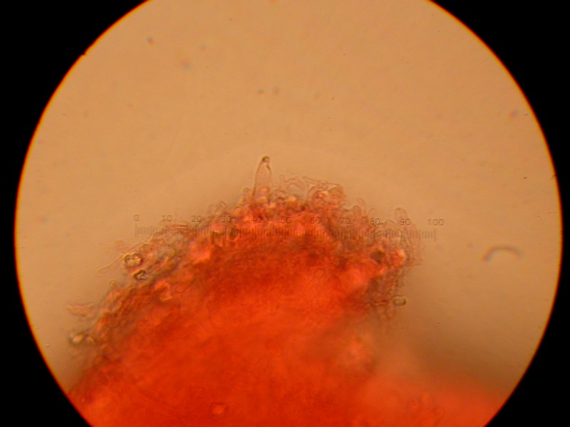 Da solo non ci riesco