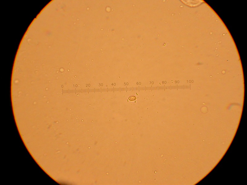 Da solo non ci riesco