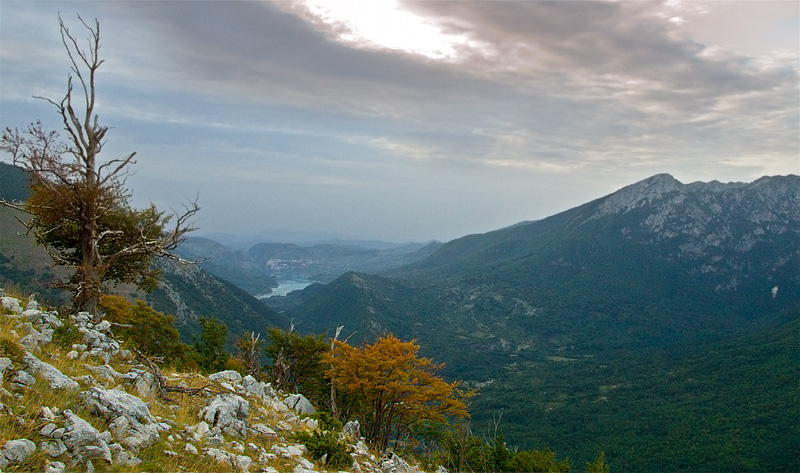 PASSIONE PER IL CERVO