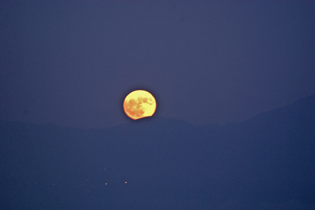 Occhio alla Luna stasera!