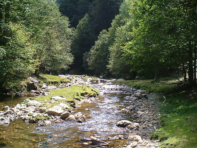 Fiumi e torrenti di Calabria