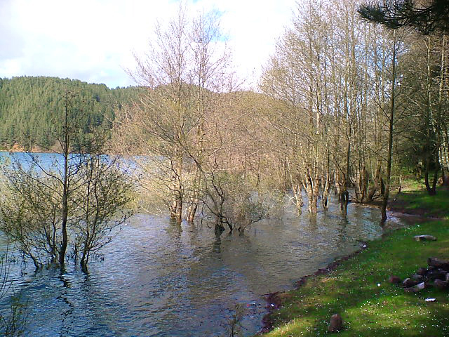 Laghi.........della CALABRIA