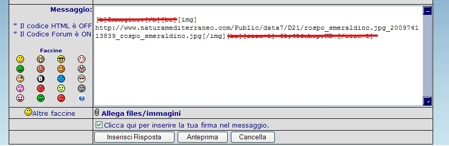 Come cambiare dati del profilo