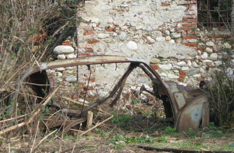 Il Bosco di S. Anselmo (con aggiornamenti)