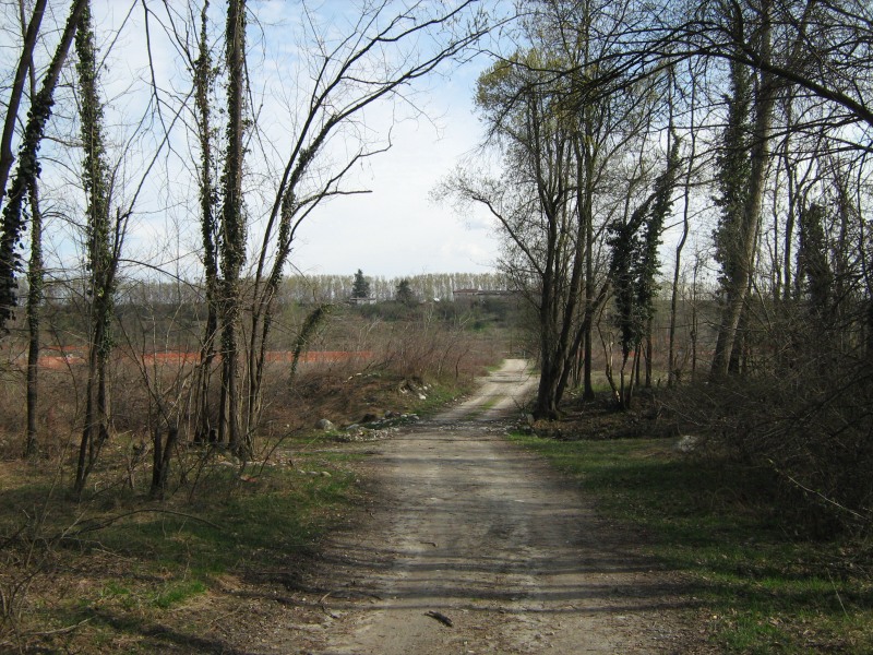 Il Bosco di S. Anselmo (con aggiornamenti)