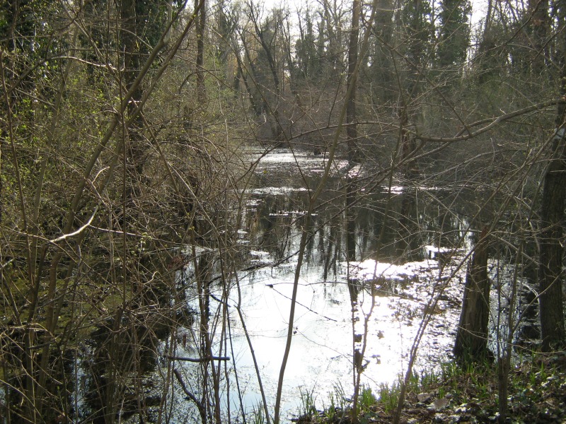 Il Bosco di S. Anselmo (con aggiornamenti)