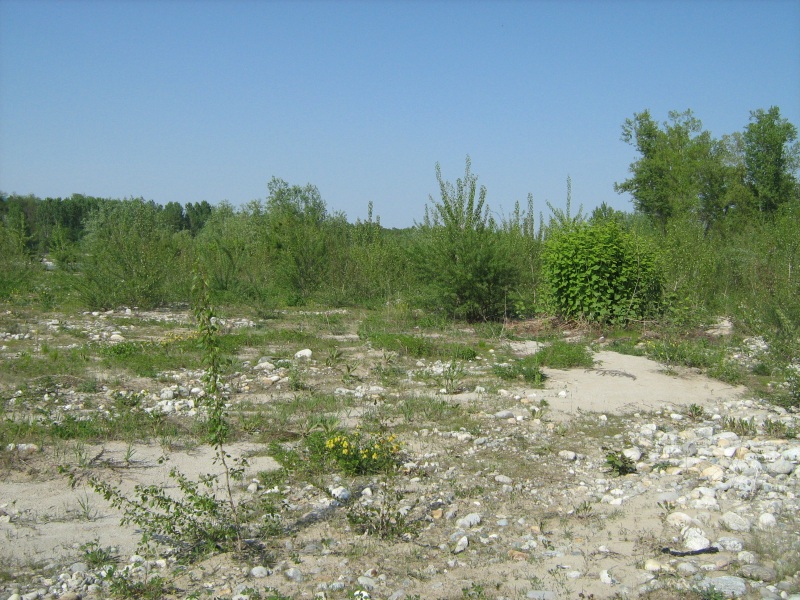 Il Bosco di S. Anselmo (con aggiornamenti)
