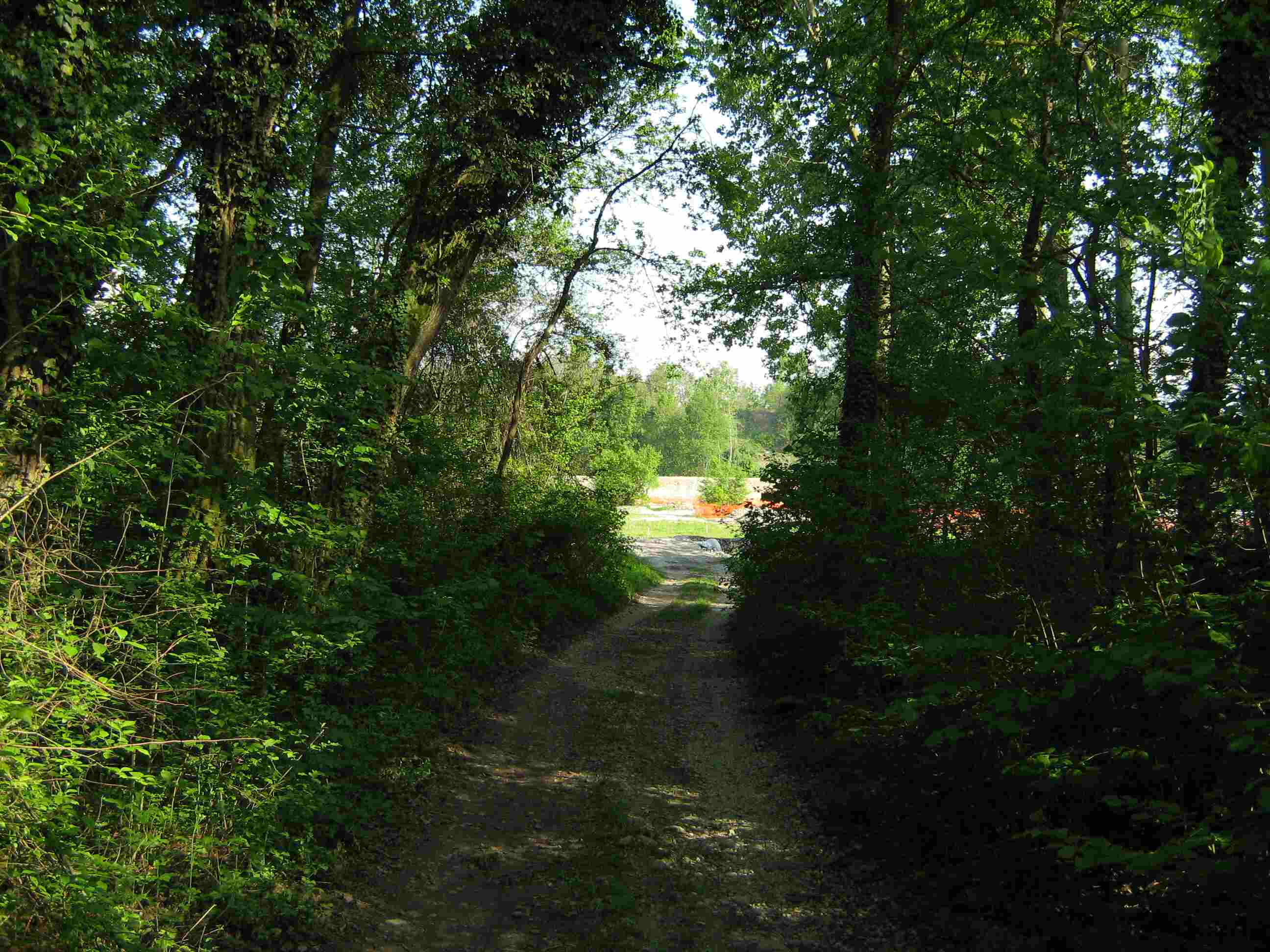 Il Bosco di S. Anselmo (con aggiornamenti)