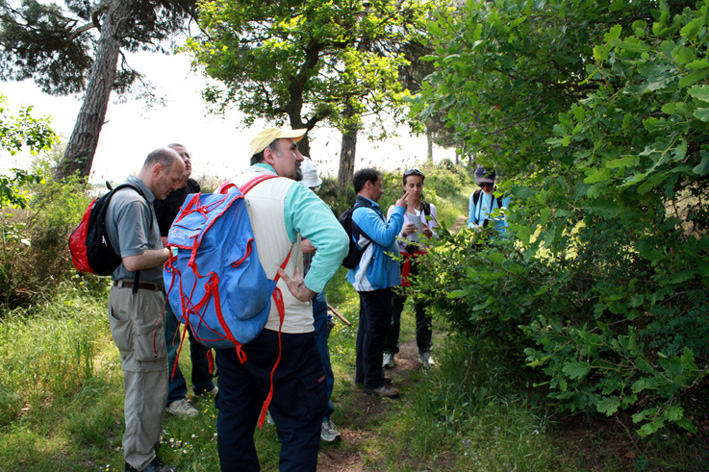 Escursione NM nella divina foresta spessa e viva