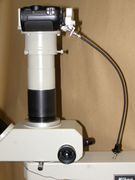 Fotografie al micro, quale macchina?