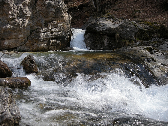 Escursione Parco Nazionale d''Abruzzo