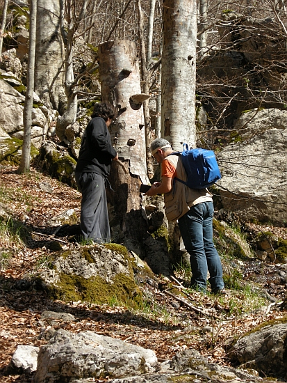 Escursione Parco Nazionale d''Abruzzo