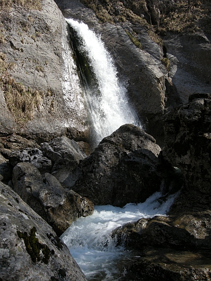 Escursione Parco Nazionale d''Abruzzo