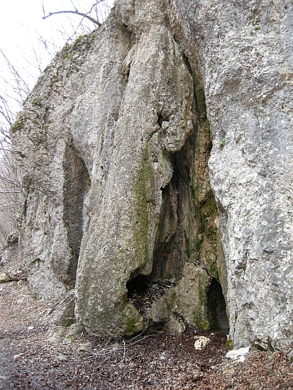 Escursione Parco Nazionale d''Abruzzo