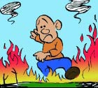 Vademecum per evitare gli incendi boschivi