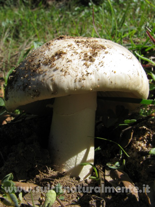 piccola escursione 17-11-2008