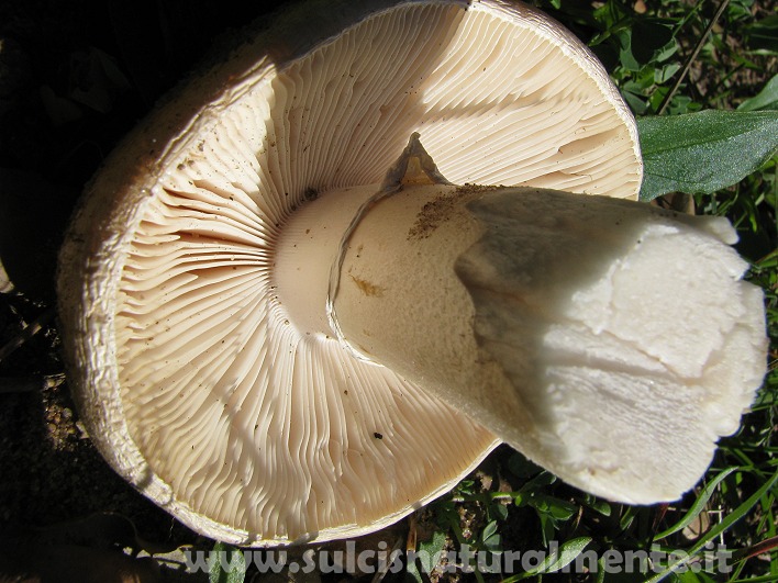 piccola escursione 17-11-2008