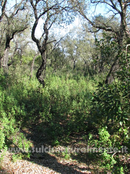 piccola escursione 17-11-2008