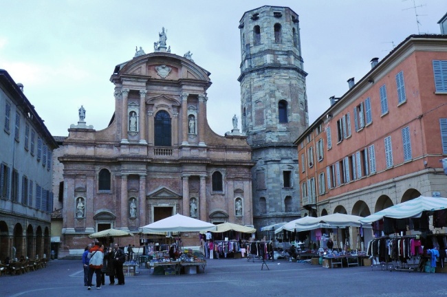 Felci in citt