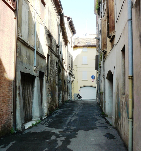 Felci in citt