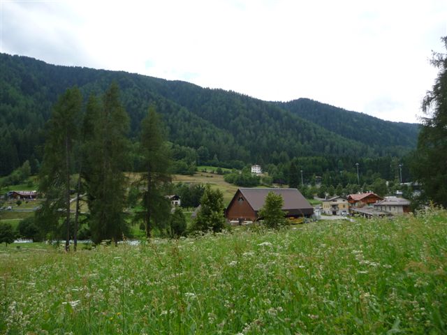 Insetti della Val di Sole - Dolomiti di Brenta