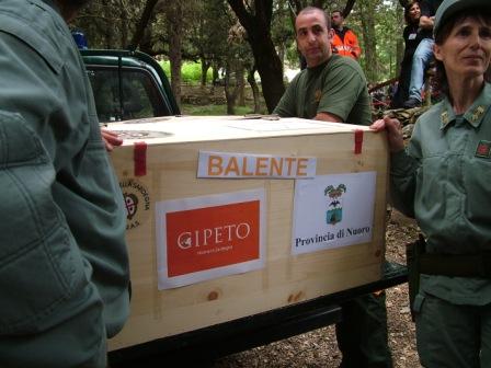 Progetto Gipeto