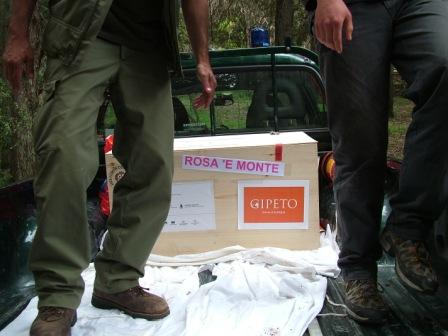 Progetto Gipeto