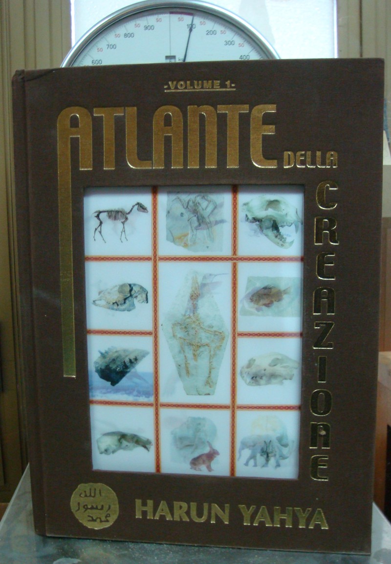 Si fa presto a dire evoluzionismo
