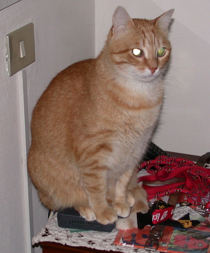 Test 1