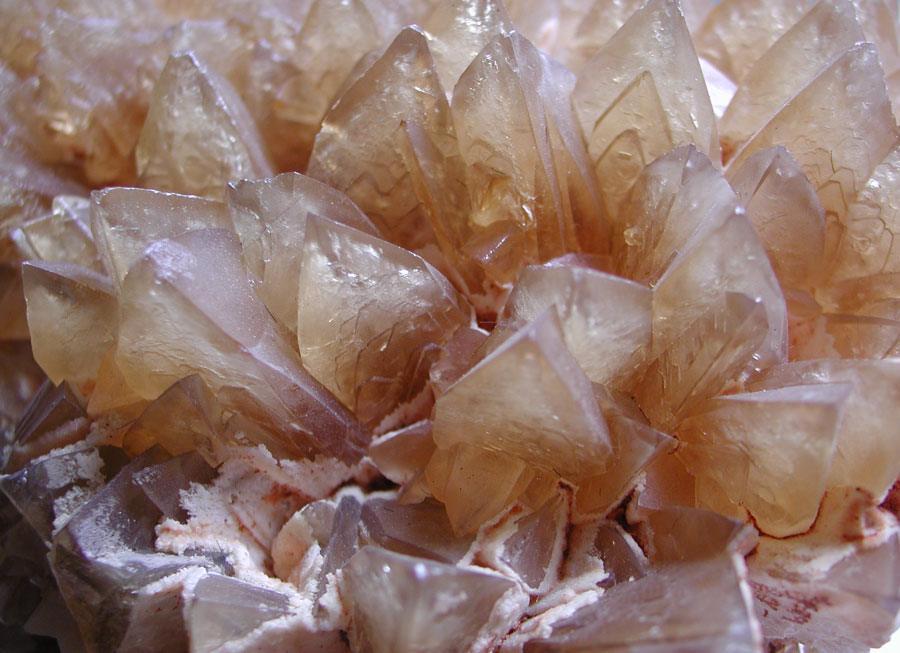 concrezione a dente di cane