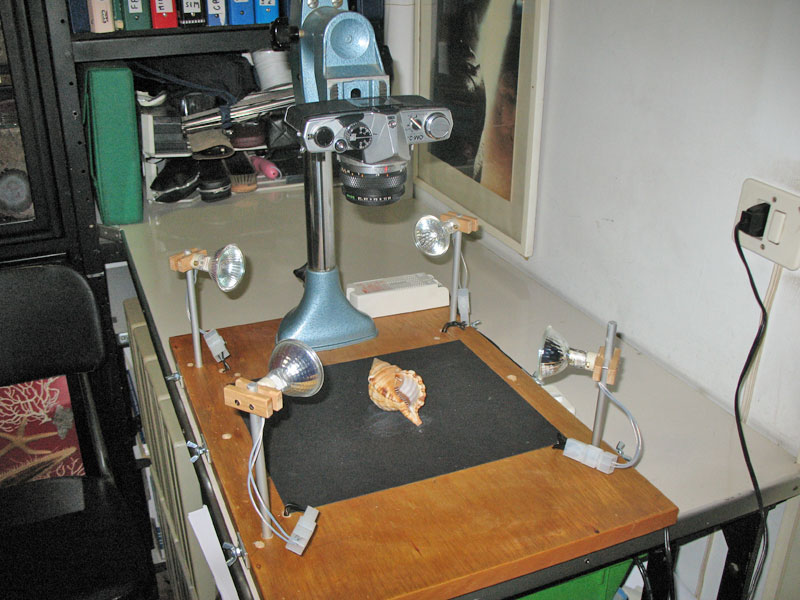 Illuminazione a fibbre ottiche