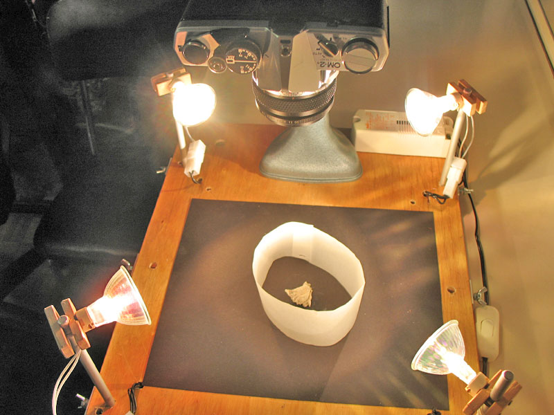 Illuminazione a fibbre ottiche