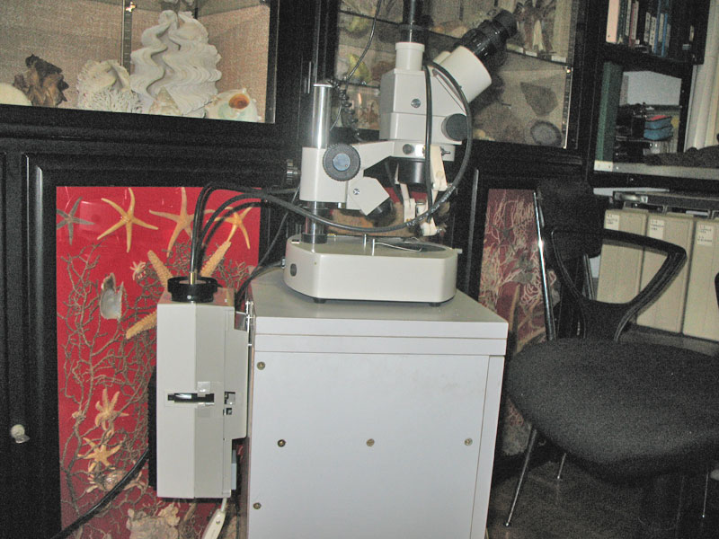 Illuminazione a fibbre ottiche